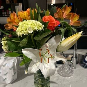 Meet your Posher, Nicki